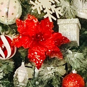 Meet your Posher, Elba